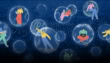 Research Says We Are Sealing Ourselves In An Information Bubble
